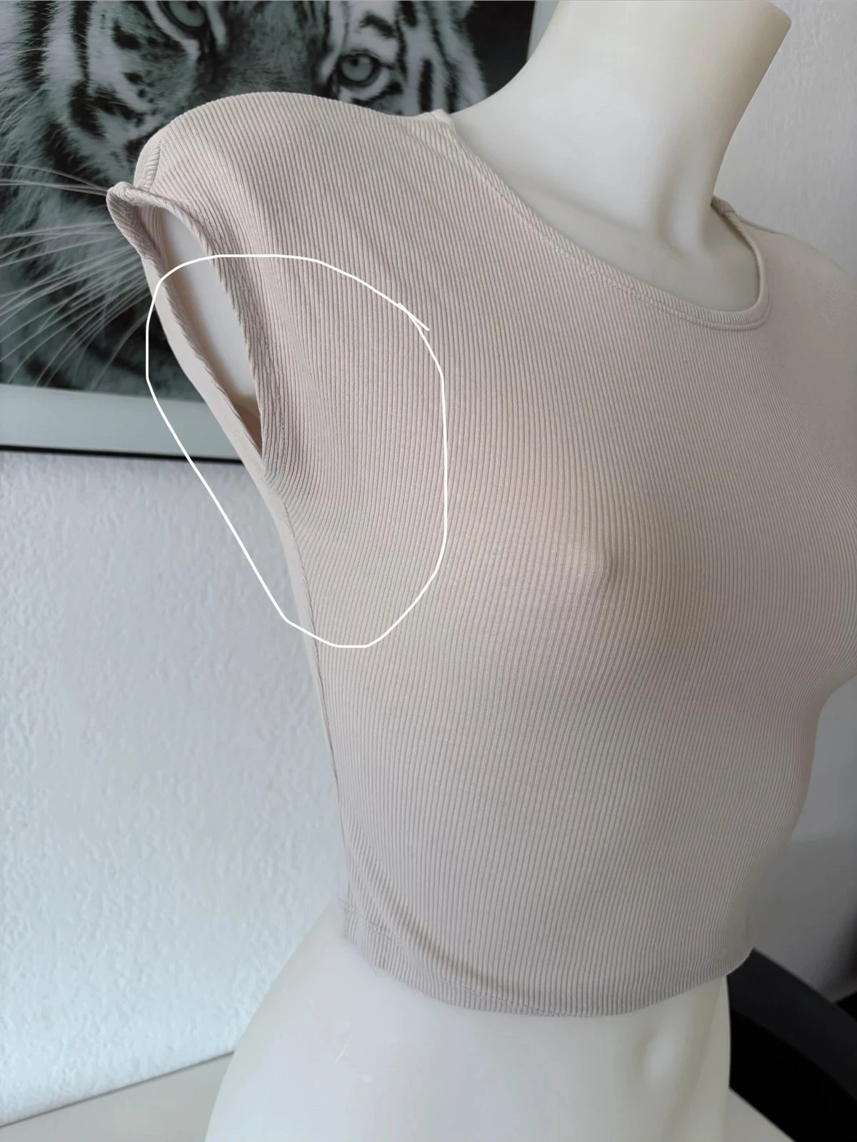 🎁 Crop top acanalado beige – Stradivarius – Talla S – photo 4